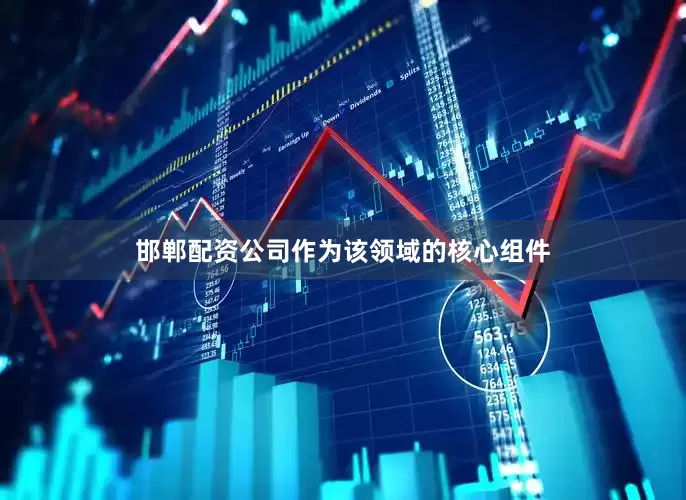 邯郸配资公司作为该领域的核心组件