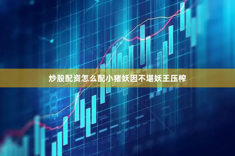 炒股配资怎么配小猪妖因不堪妖王压榨